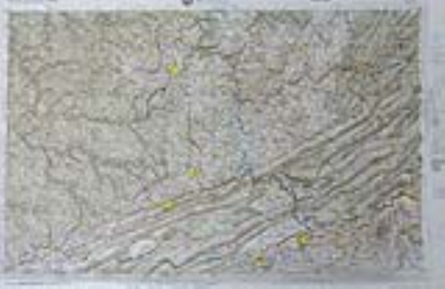 Logotipo de Virginia Energy Mineral