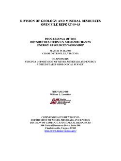 Logotipo de Virginia Energy Mineral