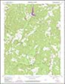 Logotipo de Virginia Energy Mineral