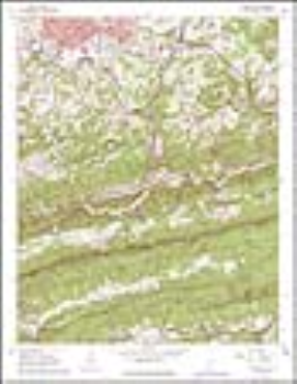 Logotipo de Virginia Energy Mineral