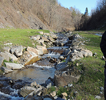 Panorama de la mitigación de arroyos