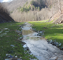 Panorama de la mitigación de arroyos