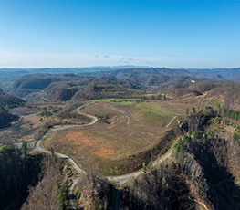 Imagen de cebolla roja