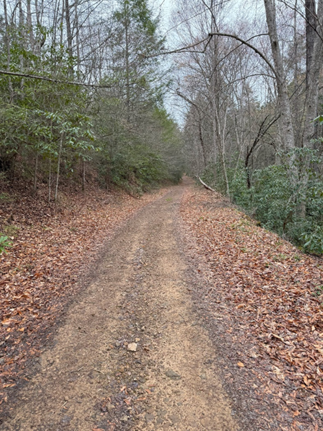 Imagen real de la expansión de las cabañas McCoy