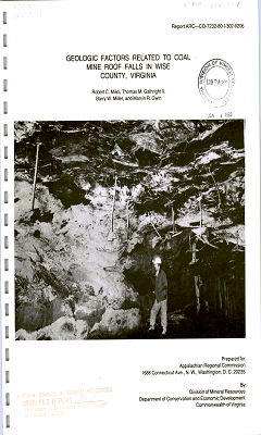 Logotipo de Virginia Energy Mineral