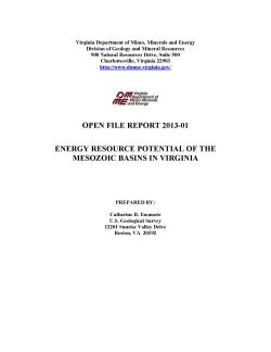 Logotipo de Virginia Energy Mineral