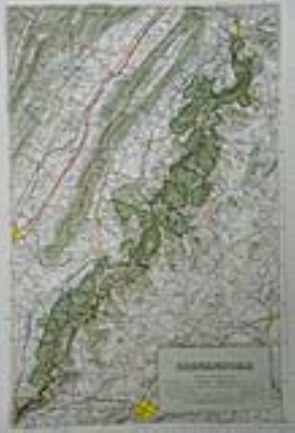 Logotipo de Virginia Energy Mineral