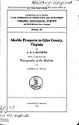 Logotipo de Virginia Energy Mineral