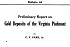 Boletín 044: Reporte preliminar sobre los depósitos de oro del Piamonte de Virginia