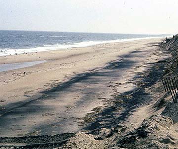 Minerales pesados Arenas