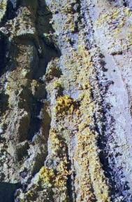 Melanterita, Arroyo Contrario, Condado de Louisa