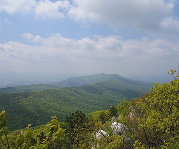 Almacenamiento de carbono