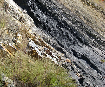 Estratigrafía de lecho de carbón