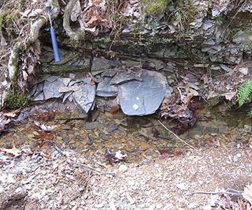 Gas de esquisto del Devónico