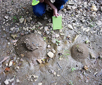 Mapeo de Peligro Sísmico