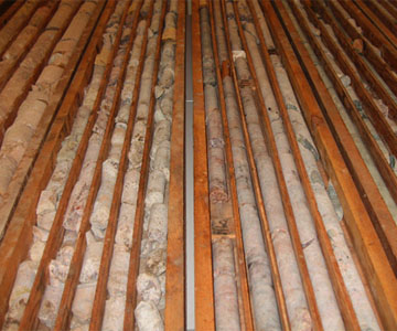 Conservación de datos