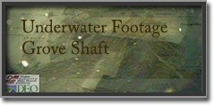 Imágenes submarinas de Grove Shaft